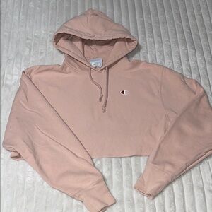 Champion Cropped Hoodie | Size Small